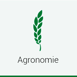 Agronomie
